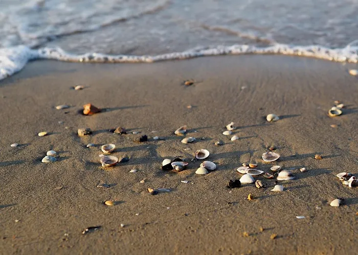 Serene In The Heart Of *