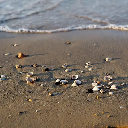 Serene In The Heart Of *